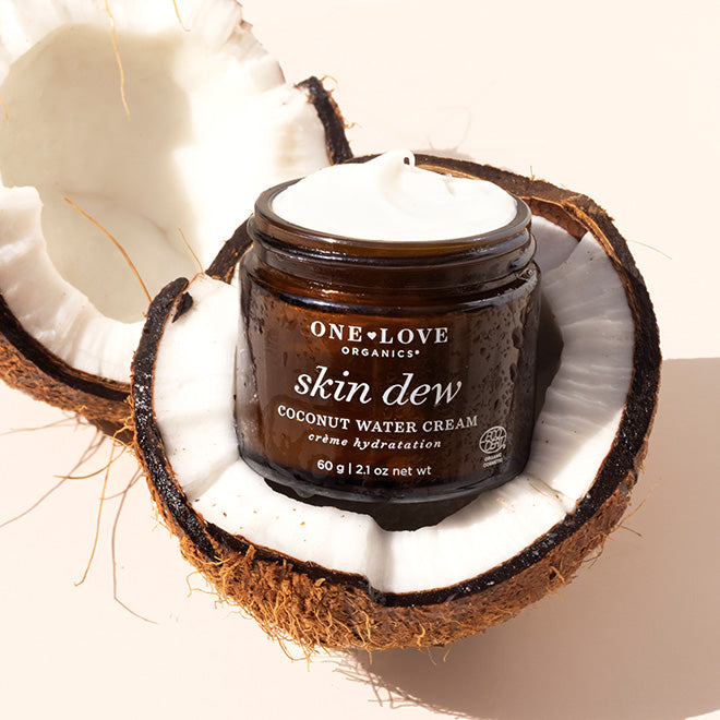 A jar of One Love Organics Skin Dew Coconut Water Cream sits in a coconut