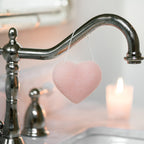 The Cleansing Sponge