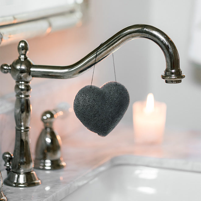 The Cleansing Sponge