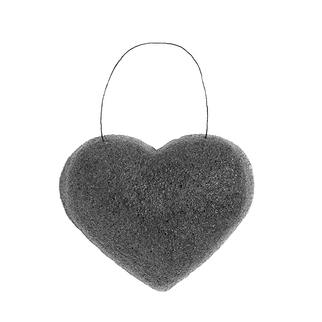 The Cleansing Sponge