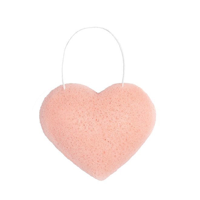 The Cleansing Sponge
